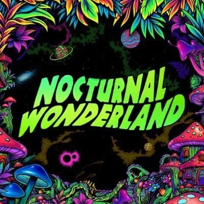 Nocturnal Wonderland — event flyer
