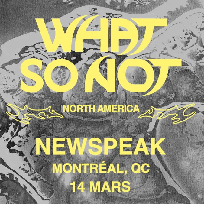 What So Not — event flyer