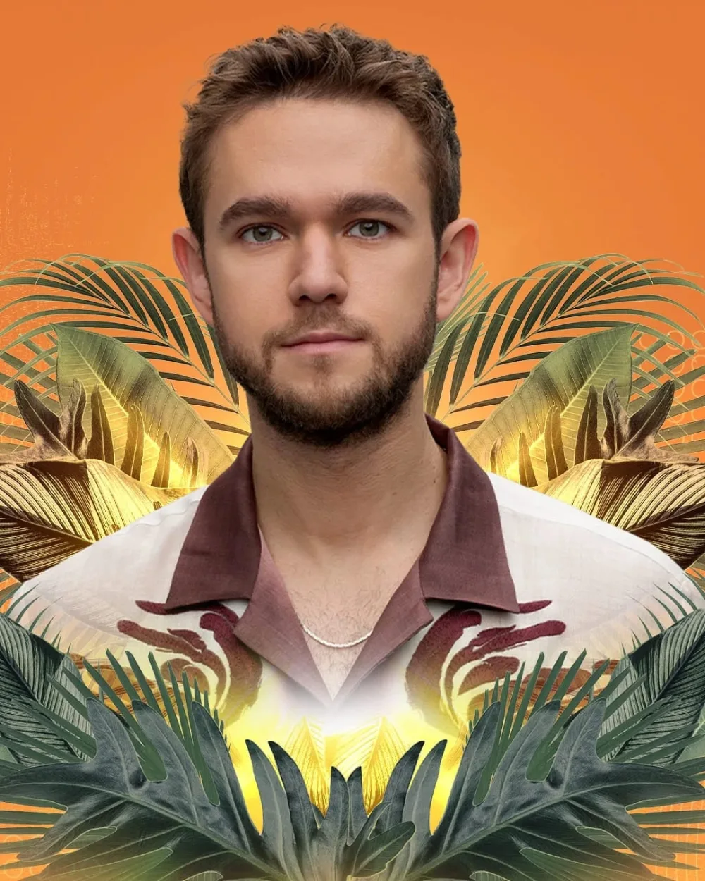 Zedd — event flyer