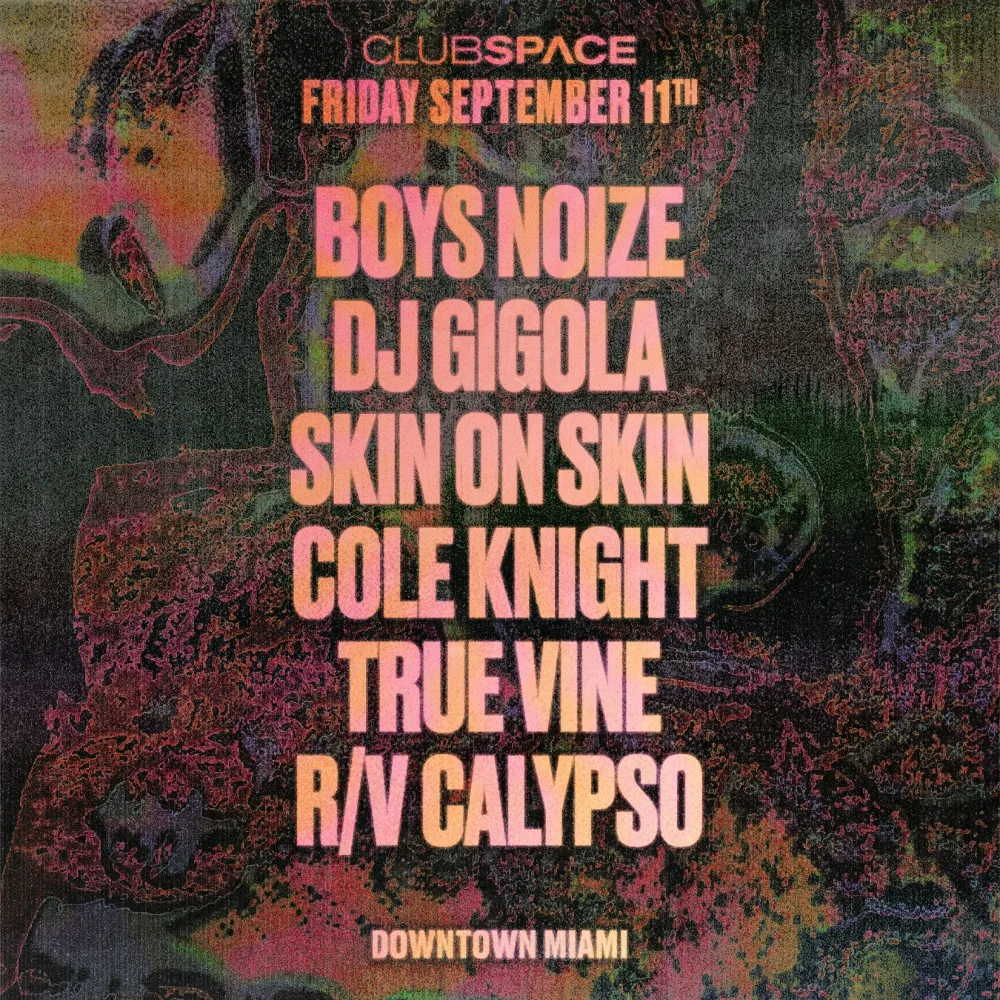 Boys Noize, DJ Gigola, Skin On Skin, Cole Knight, R/V Calypso, True Vine — event flyer