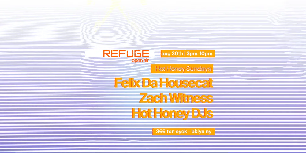 Felix Da Housecat, Zach Witness — event flyer