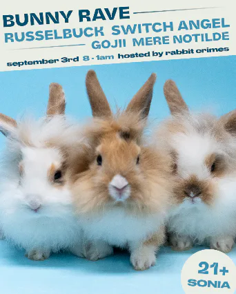 Bunny Rave — event flyer