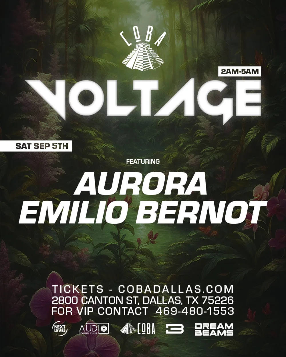 Nocturnal Bloom (Sunday Pop Up) — event flyer
