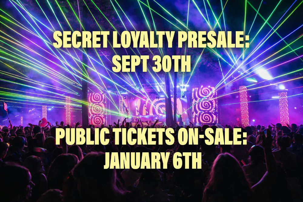 Big Dub Festival — event flyer